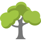 Kennewick Tree Trimming