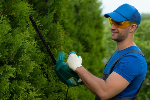 Tree Shaping Service in Kennewick