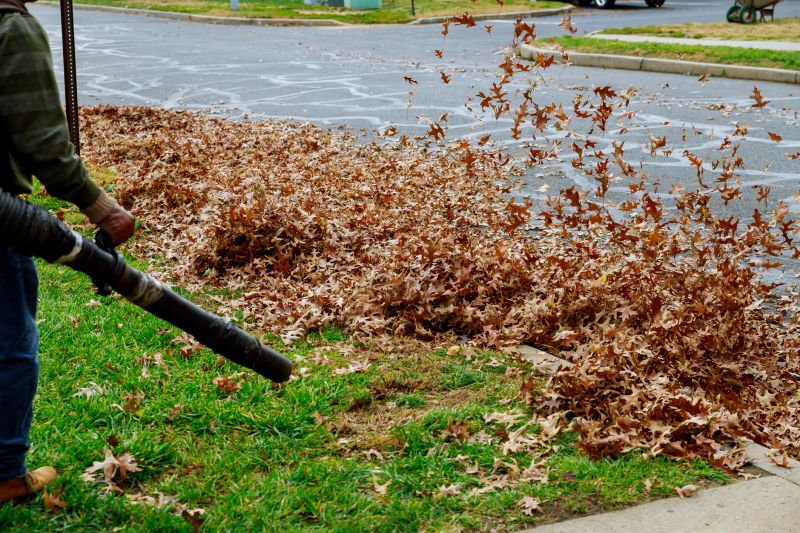 Leaf Blowing for Efficient Cleanup