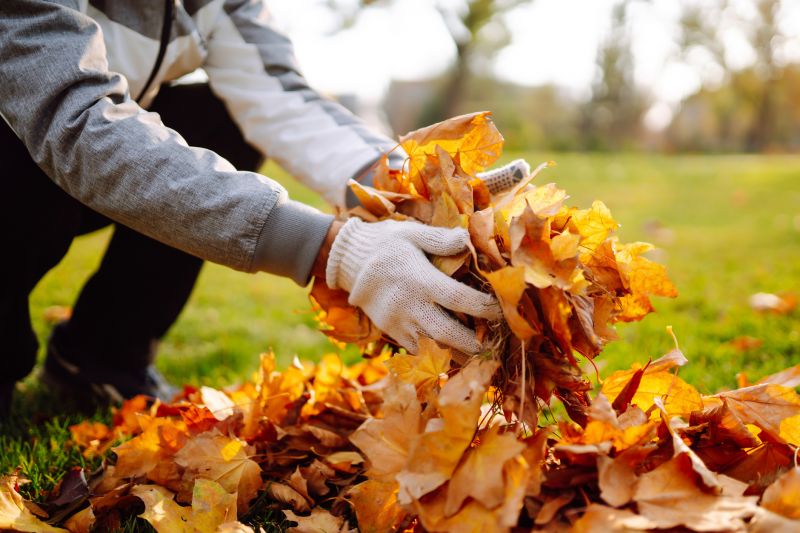 Leaves in a Pile